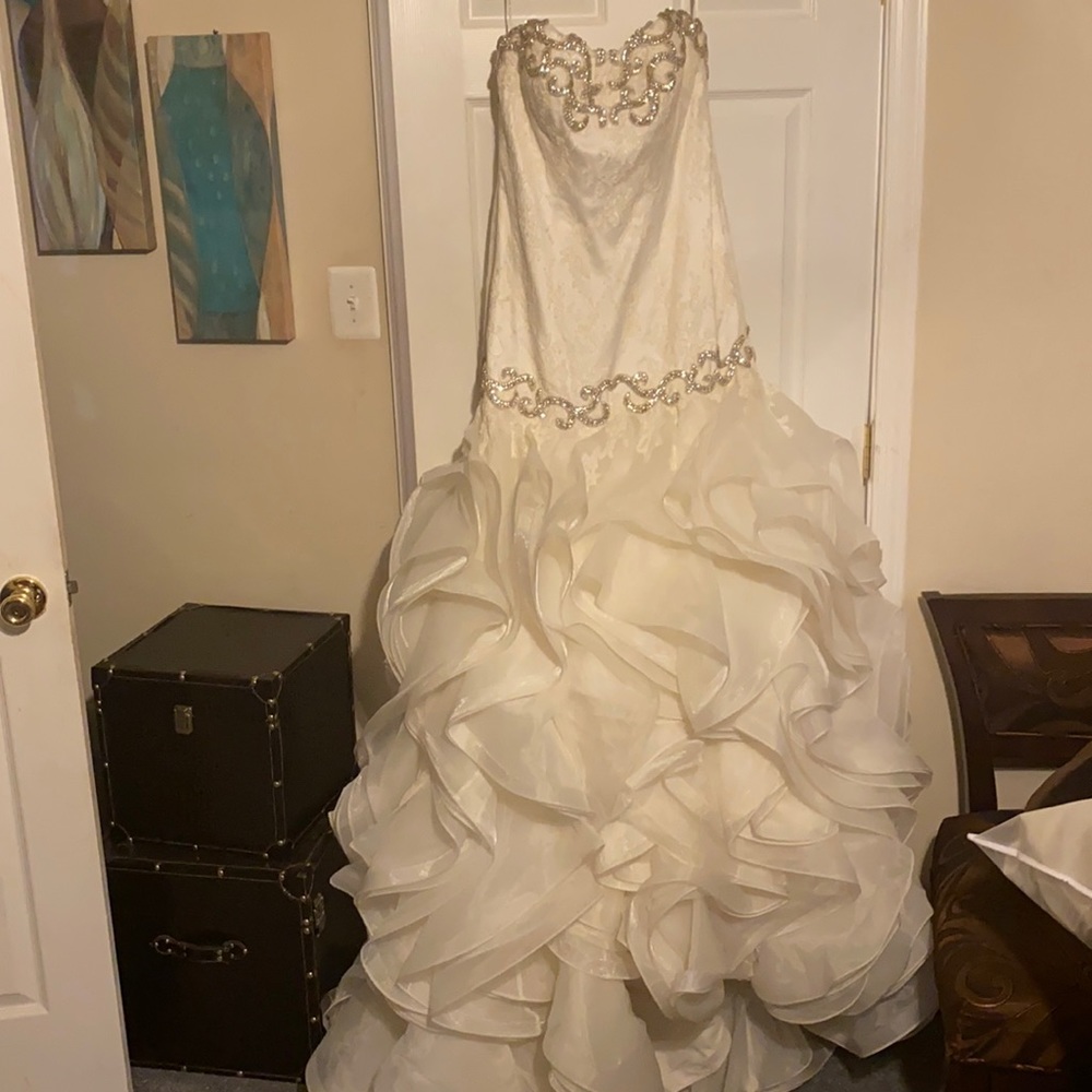 Say yes to the dress!
